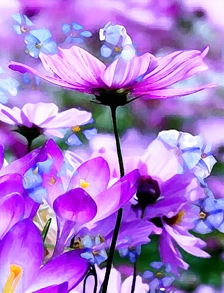 Purple Flower, Kelli Clayton
